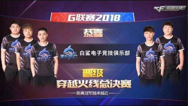 这种追求卓 这种追求卓