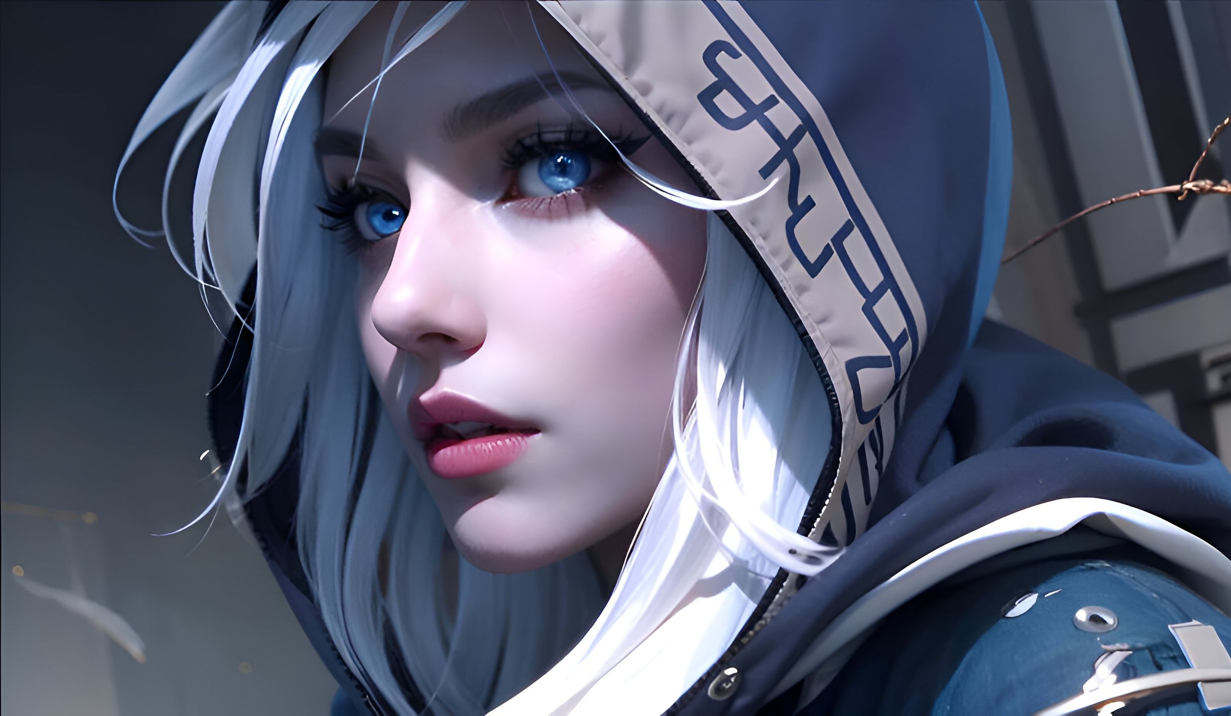 内容与生态 内容与生态